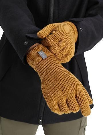 Gants Icebreaker Unisex Merino Rixdorf Homme Marron | FR 1060CTVE